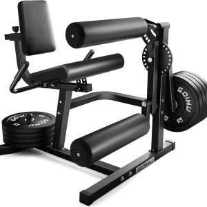 Extension and Curl  Workout Machine